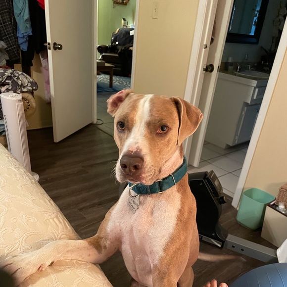 Meet your Posher, Jeanne - Picture 1 of 1